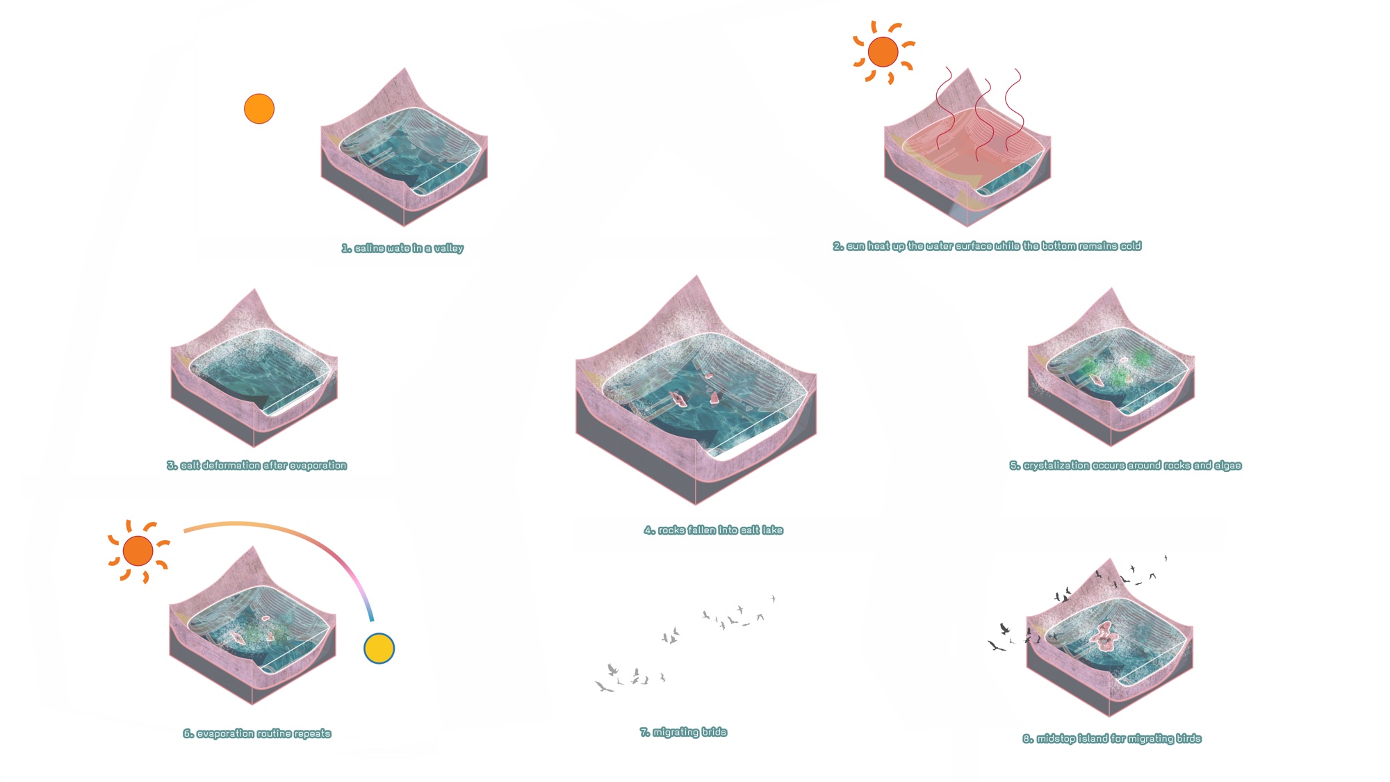 Salt accumulation process — nine stages from saltwater to crystallisation